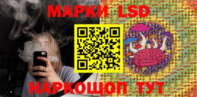 крисы Севастополь