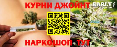 гашик Свободный