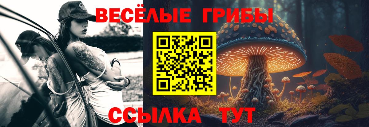 Псилоцибиновые грибы Psilocybine cubensis Балашов