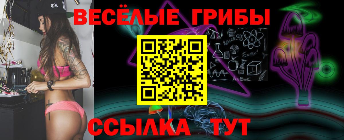 Псилоцибиновые грибы MAGIC MUSHROOMS  Вход с VPN  наркошоп  Балашов 