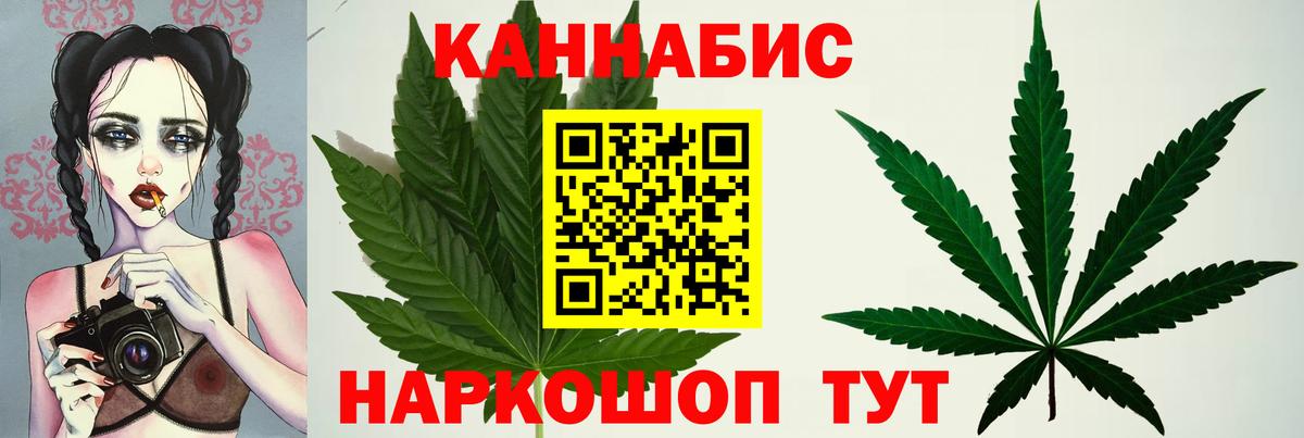 Канабис план  Бошки марихуана VHQ  Канабис Bruce Banner  Балашов  Вход с VPN 